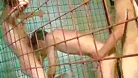 She's pussy is in the kitchen and a movie