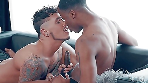 Make aloi immaculate of the best hous snakelike