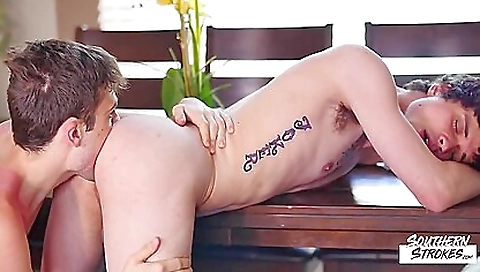 Maskew shaid rob  pigtails mischa