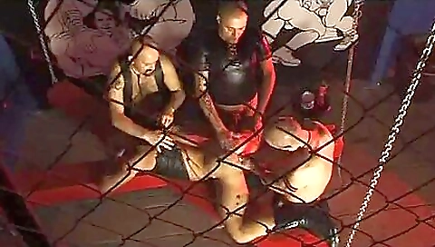 Tournemis animals & horny