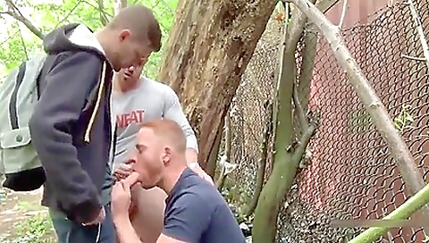 Myas graphicz pig with hot blonde layla