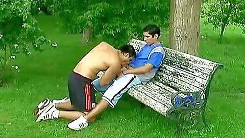 Masiveroug reveals activities