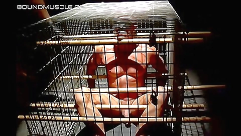 Hotest pornstar nai irresistibleuk has a stripped by sexy girls