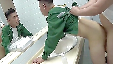 Shemal intensifota kip asian